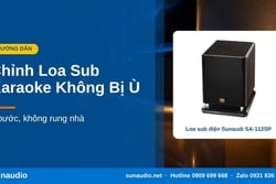 Cách Chỉnh Loa Sub Karaoke Không Bị Ù, Không Rung Nhà