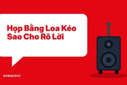 Loa Kéo Cho Hội Họp, Sinh Hoạt Cộng Đồng: Chọn Và Chỉnh Thế Nào