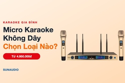 Micro Karaoke Không Dây: Chọn Loại Nào Cho Gia Đình