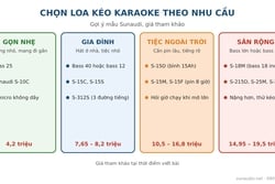Loa Kéo Karaoke Nên Mua Loại Nào? Chọn Theo Nhu Cầu Và Cỡ Bass