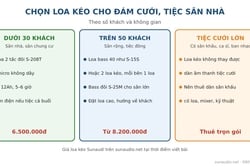 Loa Kéo Cho Đám Cưới, Tiệc Sân Nhà: Chọn Loại Nào, Đặt Thế Nào
