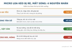 Micro Loa Kéo Bị Rè, Mất Sóng: Nguyên Nhân Và Cách Khắc Phục