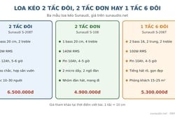 Loa Kéo 2 Tấc Đôi, 2 Tấc Đơn Hay 1 Tấc 6 Đôi: Chọn Loại Nào?