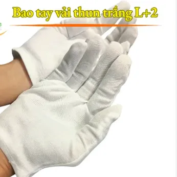 Bao Tay Bảo Hộ Vải Thun L+2 Màu Trắng