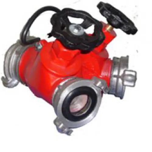 Họng Tiếp Nước Chữa Cháy Hai Chạc
