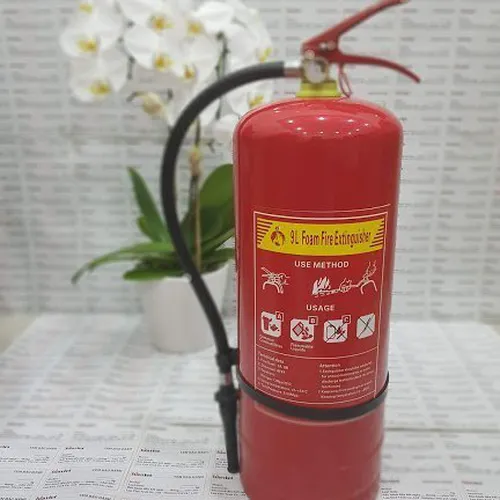 Bình Chữa Cháy Bọt Foam Renan 9 Lít MFZ9