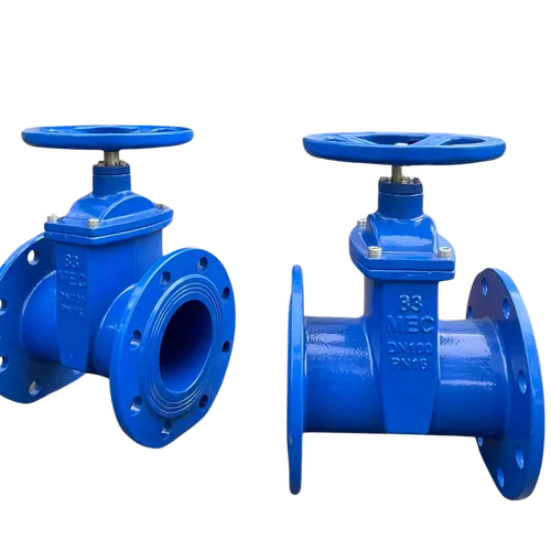 Van Cổng Ty Chìm DN100 BQP