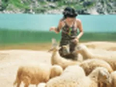 Kinh Nghiệm Du Lịch Vũng Tàu Tự Túc Ăn Uống, Di Chuyển Thuận Tiện