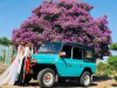 Cây Hoa Bằng Lăng Tím Đẹp Nhất Bình Thuận Đốn Tim Du Khách