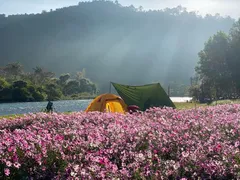 Vườn Hoa La Ngâu Khu Du Lịch Cắm Trại Suối La Ngâu Bình Thuận
