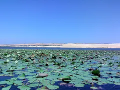 Bàu Trắng - Thắng cảnh đẹp thu hút nhiều du khách