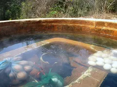 Suối Nước Nóng Bưng Thị Bình Thuận- Điểm Phượt Mới Để Khám Phá Dã Ngoại