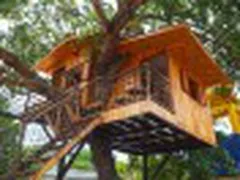 Những Farm Stay Ở Bà Rịa Vũng Tàu Thích Hợp Đưa Gia Đình Đi Du Lịch Trải Nghiệm