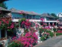 Hoa Giấy Rực Rỡ Trên Cung Đường Du Lịch Mũi Né Phan Thiết