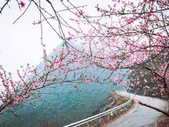 Du Lịch Đầu Năm Nên Đi Đâu Lý Tưởng Nhất Đón Lộc Ngày Xuân