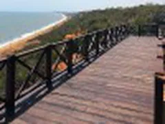 Đẹp Mê Mẫn Con Đường Hàn Quốc Và Chiếc Cầu Gỗ Thozoo Bên Bờ Biển Bình Thuận