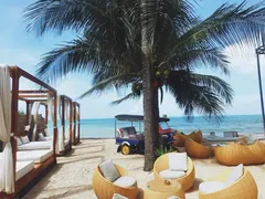 Mũi Né Có Gì Chơi? Các Hoạt Động Vui Chơi Không Nên Bỏ Lỡ Khi Đến Phan Thiết