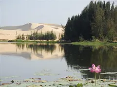 Khám phá nét hấp dẫn, thú vị, độc đáo của du lịch biển Mũi Né