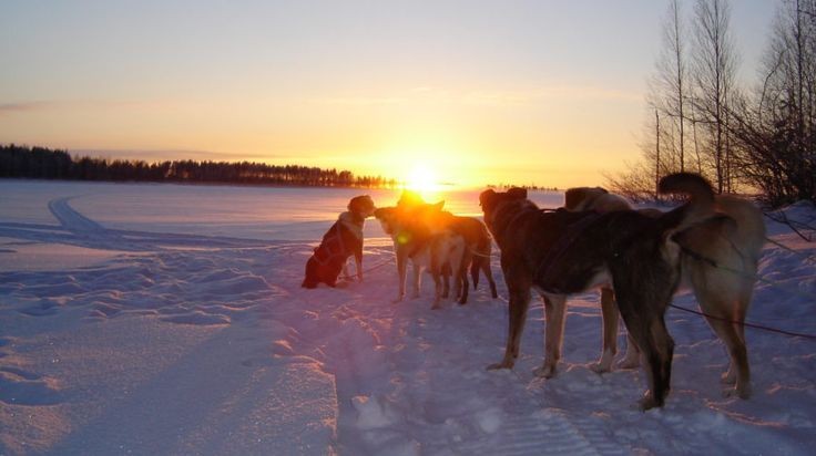 Du lịch Châu Âu mùa nào đẹp nhất