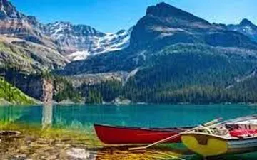 Sim Canada- Những nơi bạn có thể mua sim du lịch Canada