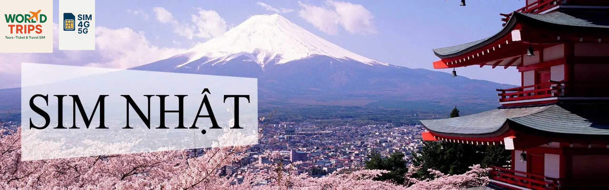 Sim Nhật Bản