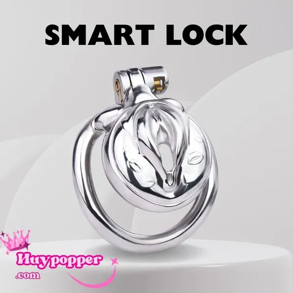 Khóa Cu Mini Inox – Khóa Dương Vật Tạo Hình Âm Đạo (Độc Đáo)