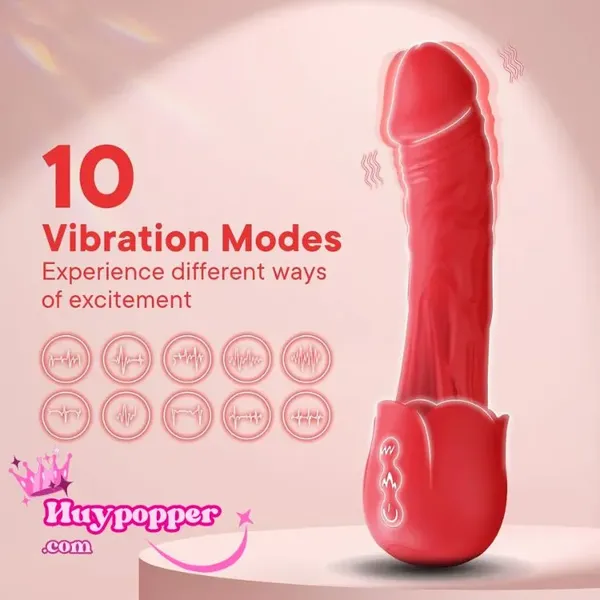 Dương vật giả cao cấp cầm tay có rung hoa hồng