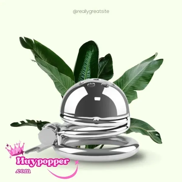 Khóa cu inox lò xo bít đầu