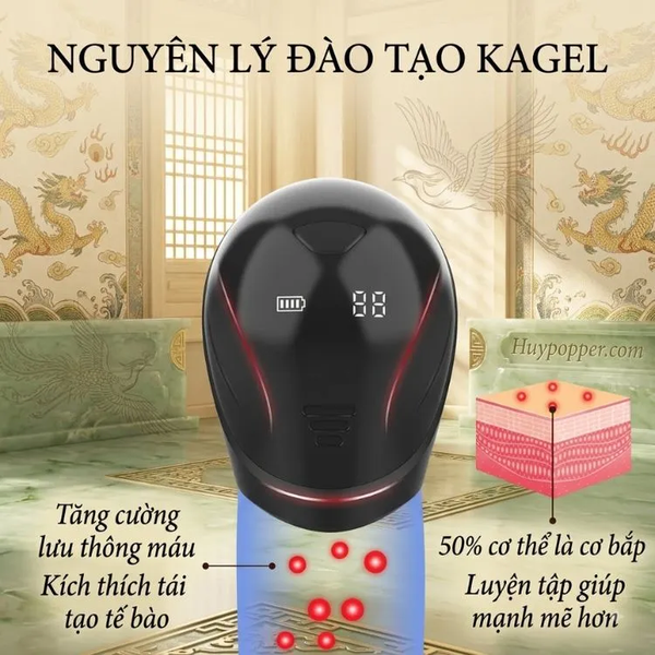 Máy rung mút đầu dương vật loviss night
