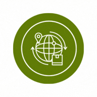 PHÂN PHỐI NỘI ĐỊA & NƯỚC NGOÀI