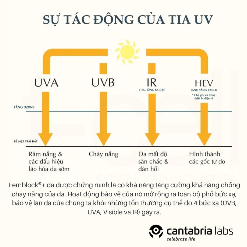 Công nghệ Fernblock®+