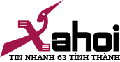 go-xahoi