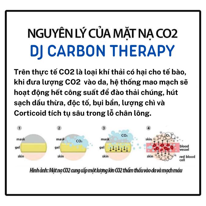 DJ Carbon Therapy thải độc