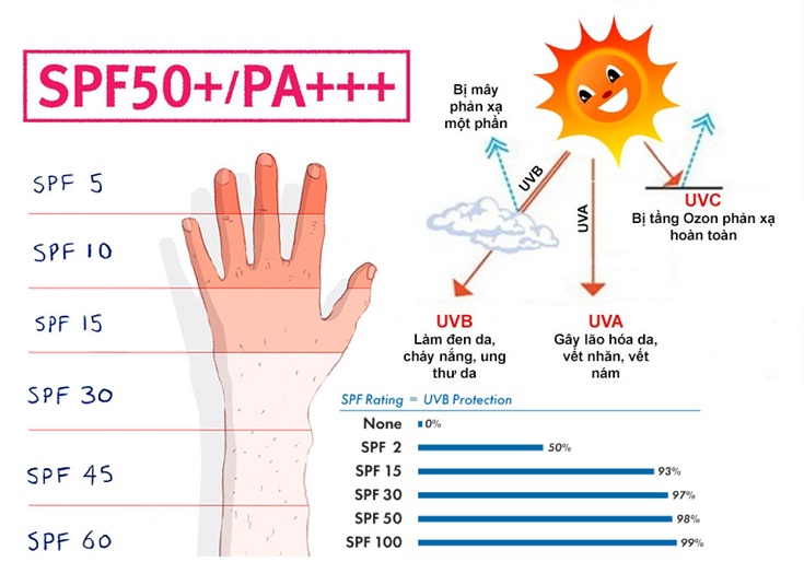 4. Ai nên sử dụng kem chống nắng SPF 50+?