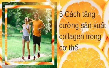 5 Cách tăng cường sản xuất collagen trong cơ thể 