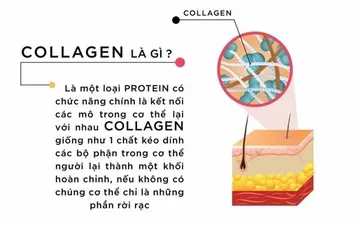 Lợi ích của collagen với sức khỏe và làn da