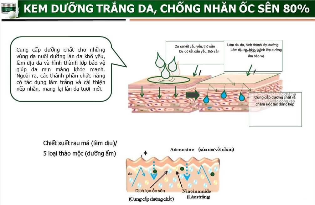tinh chat oc sen s miracle 9 1