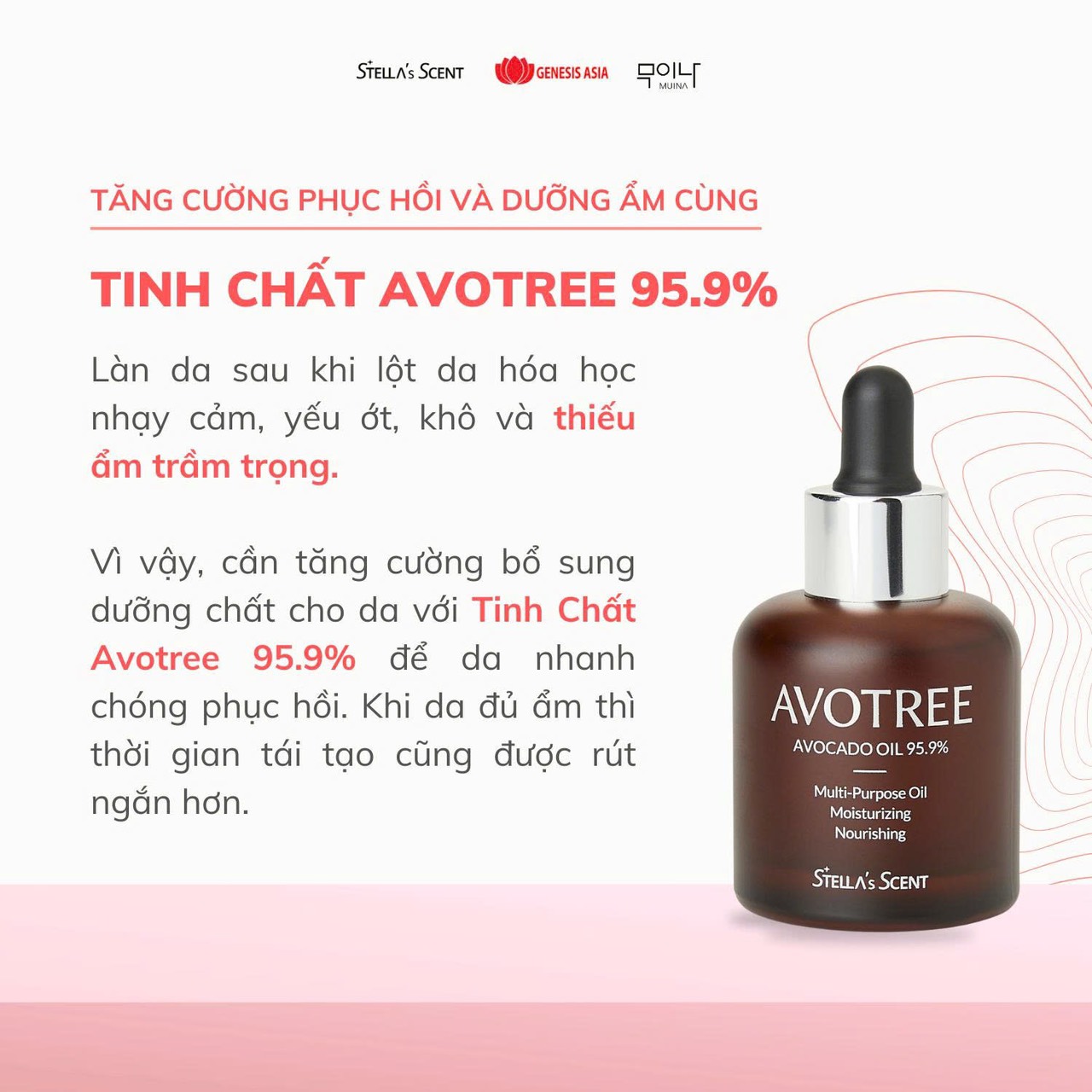 Tinh dầu bơ Avotree Stella’s Scent 95,9% tinh khiết là dòng sản phẩm dưỡng da cao cấp nhập khẩu từ Hàn Quốc.