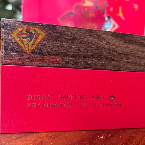 Hộp  quà tổ yến sào cao cấp Hiền Hoàng 100 gram - The best gift