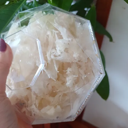 Chân Yến Sạch Hiền Hoàng 100g