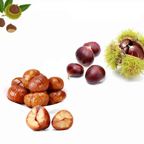 HẠT DẺ HẤP NHẬT | TOPVALU