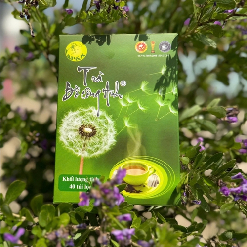 Hộp 40 Gói Trà Bồ Công Anh
