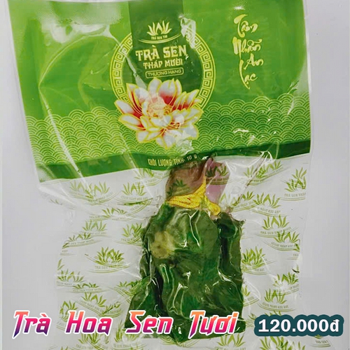 Trà Hoa Sen Tươi – Dothalotus