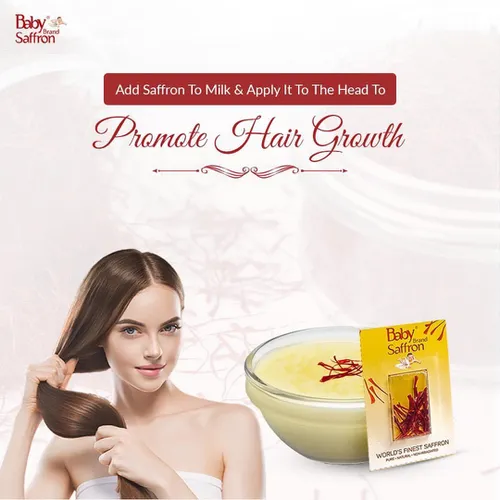 NHỤY HOA NGHỆ TÂY  - BABY SAFFRON | 1G