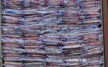 Thời Tiết Khắc Nghiệt - Bạt Nhựa Có Phải Là Bảo Vệ Tốt Nhất Cho Sân Vườn?