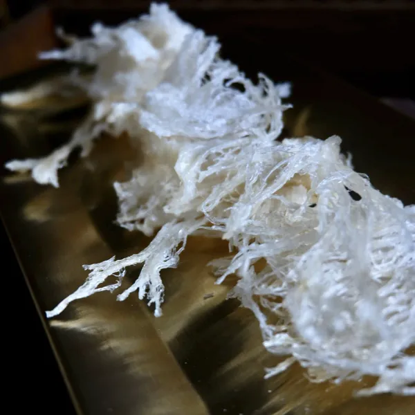 Chân Yến Tinh Chế Tiêu Chuẩn 