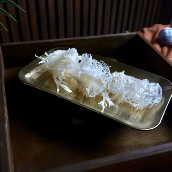 Chân Yến Tinh Chế Tiêu Chuẩn 