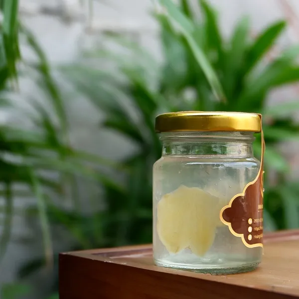 Yến chưng tươi vị gừng