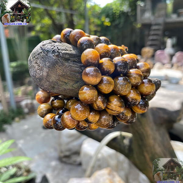 Cải thiện trí nhớ, tăng cường khả năng tập trung Cải thiện trí nhớ, tăng cường khả năng tập trung