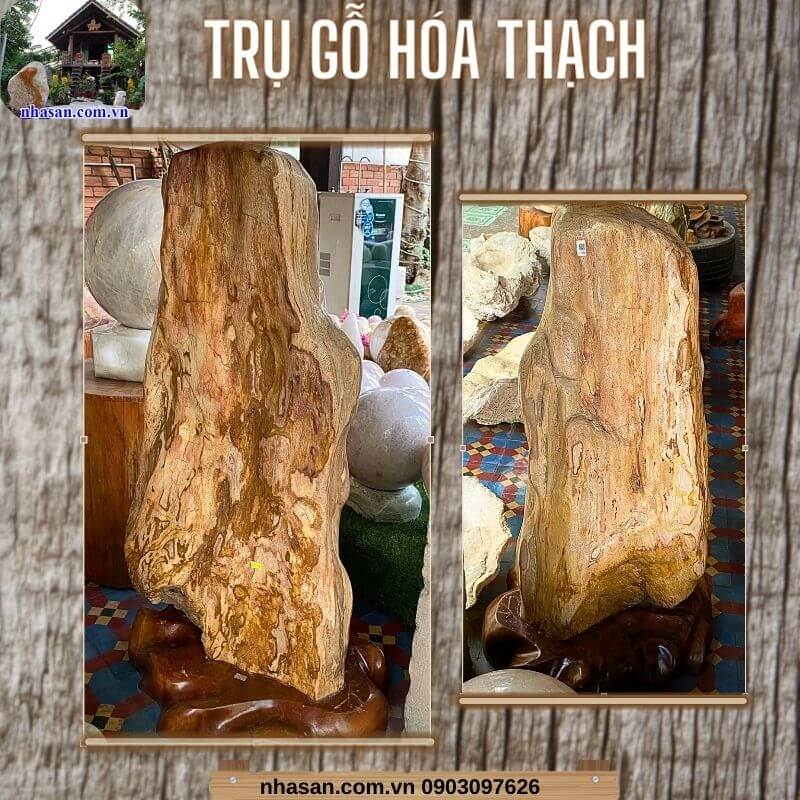 Trụ gỗ hóa thạch có nguồn gốc rõ ràng, thuần thiên nhiên 100%, độ cứng cao Trụ gỗ hóa thạch có nguồn gốc rõ ràng, thuần thiên nhiên 100%, độ cứng cao